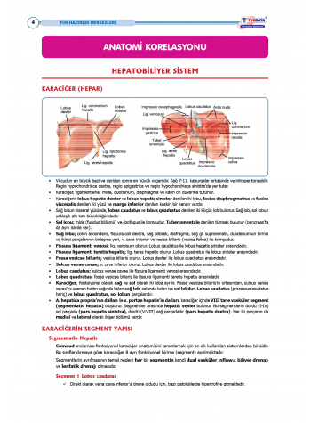 TUS Entegre Temel Hepatobiliyer Sistem