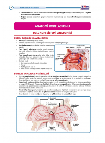 TUS Entegre Temel Solunum Sistemi