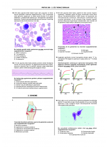 Pretus Deneme Sınavları - 200 ( 2.Cilt )