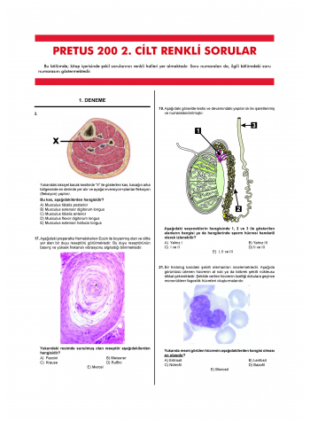 Pretus Deneme Sınavları - 200 ( 2.Cilt )
