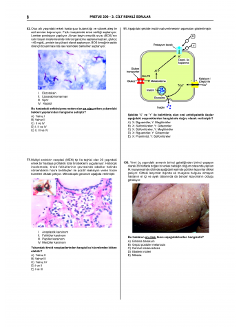 Pretus Deneme Sınavları - 200 ( 3.Cilt )