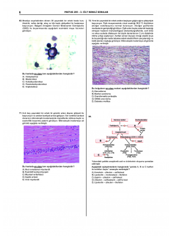 Pretus Deneme Sınavları - 200 ( 3.Cilt )