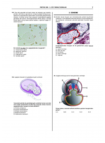 Pretus Deneme Sınavları - 200 ( 3.Cilt )