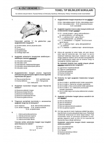 Pretus Deneme Sınavları - 200 ( 4.Cilt )