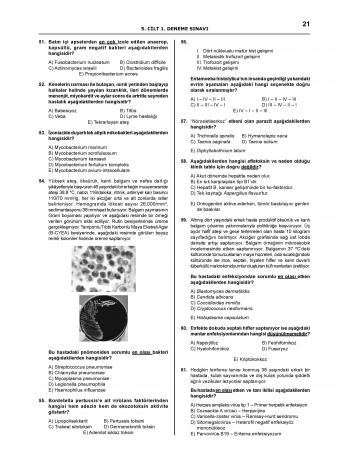 Pretus Deneme Sınavları - 200 ( 5.Cilt )