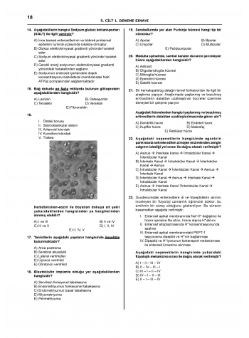 Pretus Deneme Sınavları - 200 ( 5.Cilt )