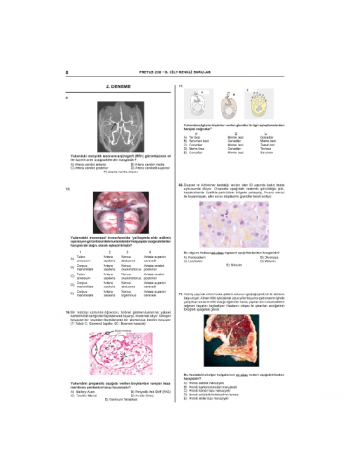 Pretus Deneme Sınavları - 200 ( 6.Cilt )
