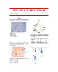 Pretus Deneme Sınavları - 200 ( 6.Cilt )