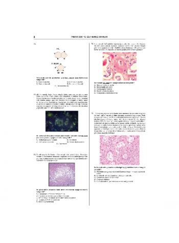 Pretus Deneme Sınavları - 200 ( 6.Cilt )