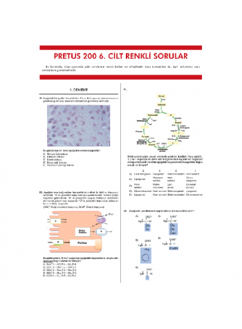 Pretus Deneme Sınavları - 200 ( 6.Cilt )