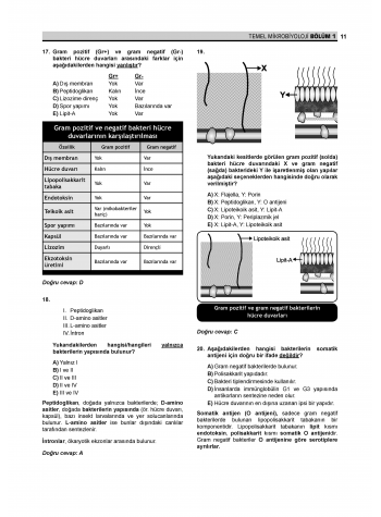 Prospektus Soruları Mikrobiyoloji