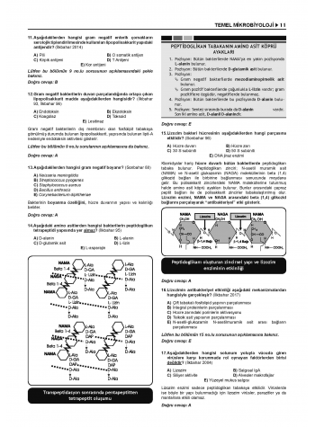 Prospektus Tüm Tus Soru ( 9.Baskı ) Mikrobiyoloji