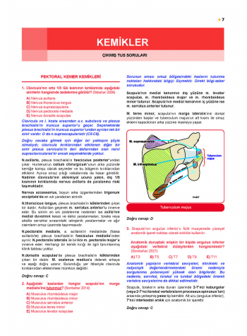 Prospektus Tüm Tus Soru ( 9.Baskı ) Anatomi