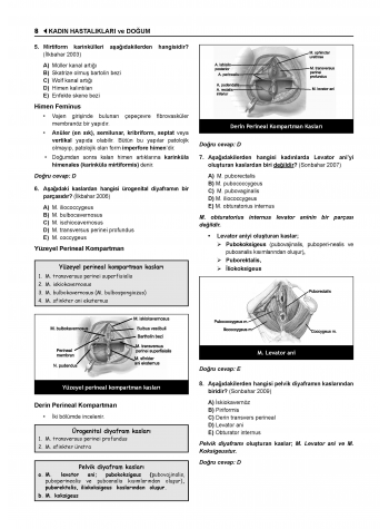 Prospektus Tüm Tus Soru ( 9.Baskı ) Kadın Doğum