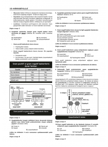 Prospektus Tüm Tus Soru ( 9.Baskı ) Mikrobiyoloji