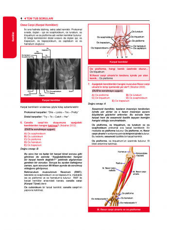 Tüm Tus Soruları ( 33.Baskı ) Anatomi