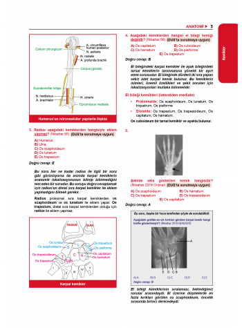 Tüm Tus Soruları ( 34.Baskı ) Anatomi