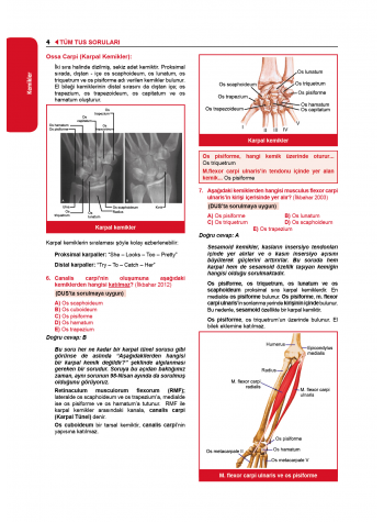 Tüm Tus Soruları ( 34.Baskı ) Anatomi