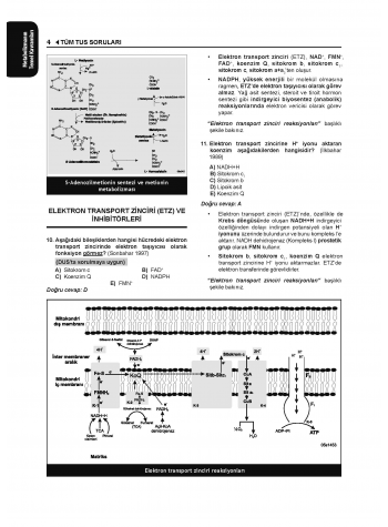 Tüm Tus Soruları ( 33.Baskı ) Biyokimya