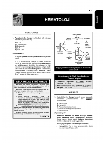 Tüm Tus Soruları ( 33.Baskı ) Dahiliye