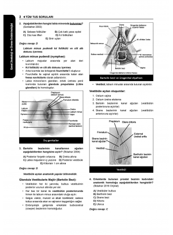 Tüm Tus Soruları ( 33.Baskı ) Kadın Doğum