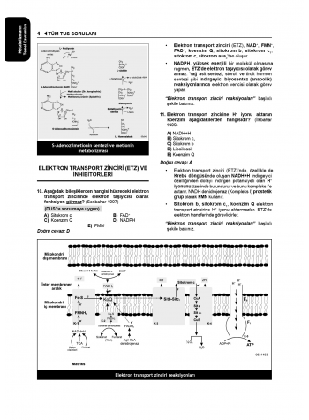 Tüm Tus Soruları ( 34.Baskı ) Biyokimya