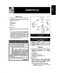 Tüm Tus Soruları ( 34.Baskı ) Dahiliye