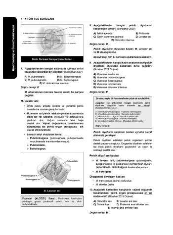 Tüm Tus Soruları ( 34.Baskı ) Kadın Doğum