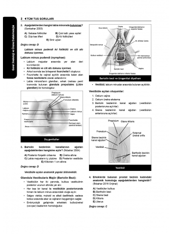 Tüm Tus Soruları ( 34.Baskı ) Kadın Doğum