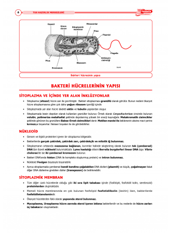 2025 - TUS Şampiyonların Notu Mikrobiyoloji / 21.Baskı