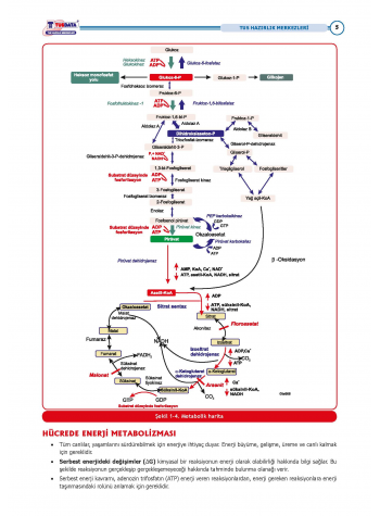 2025 - TUS Şampiyonların Notu Biyokimya / 21.Baskı