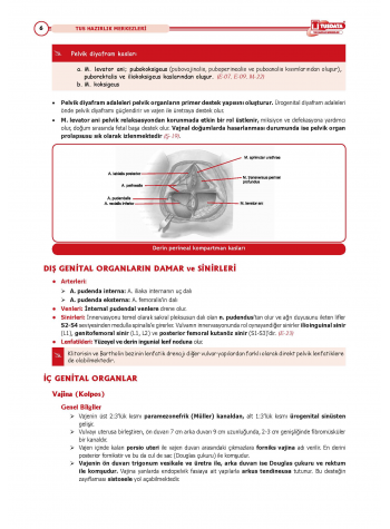 2025 - TUS Şampiyonların Notu Kadın Doğum / 21.Baskı