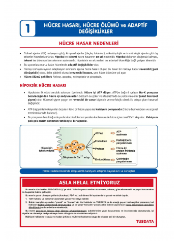 2025 - TUS Şampiyonların Notu Patoloji / 21.Baskı