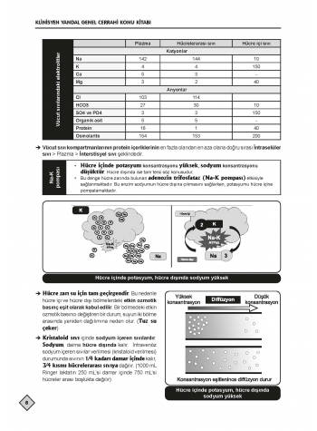 YDUS Konu Kitabı ( 4.Baskı ) G.Cerrahi / 1.2.Cilt