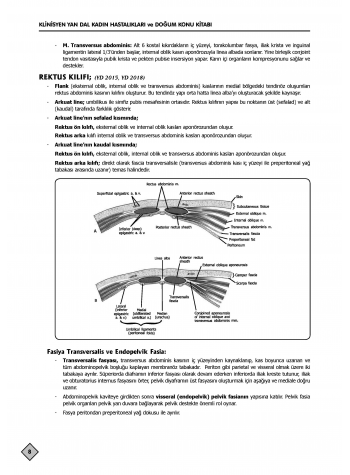 YDUS Konu Kitabı ( 5.Baskı ) K.Doğum / 1.2 Cilt