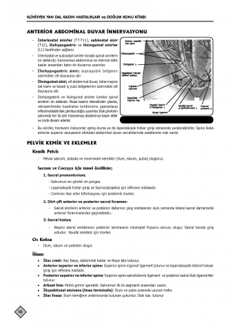 YDUS Konu Kitabı ( 5.Baskı ) K.Doğum / 1.2 Cilt